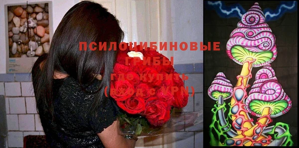 герыч Алексин