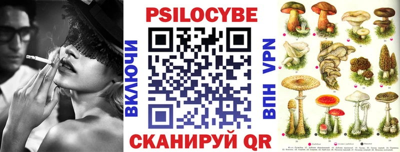 продажа наркотиков  Рыбное  Псилоцибиновые грибы GOLDEN TEACHER 